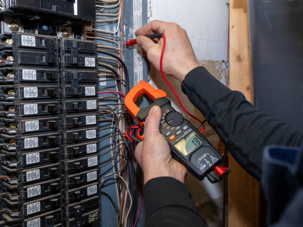 Best Ceiling Fan Installation Electrician  in Reno, NV